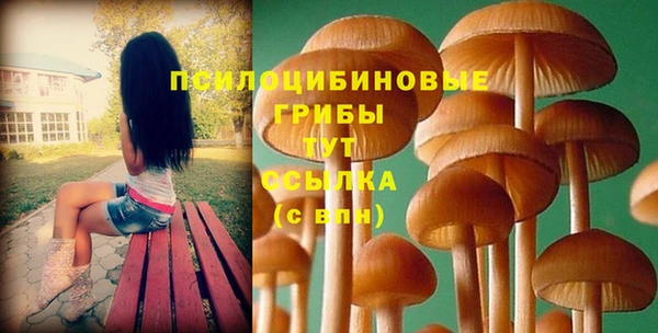 мескалин Алексин