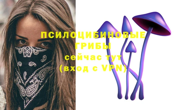 героин Алзамай