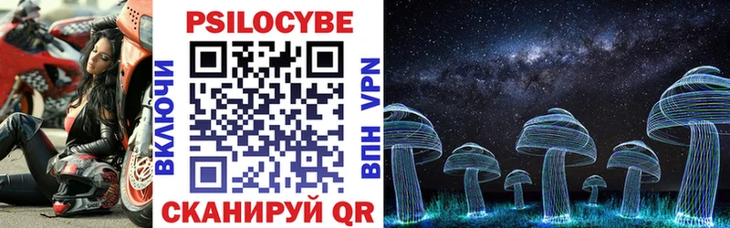 Галлюциногенные грибы Cubensis  mega ONION  Нововоронеж  закладки 
